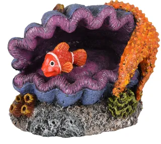 AD LETO SHELL FISH