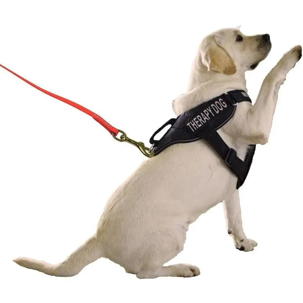 Biothane Long Line Leash