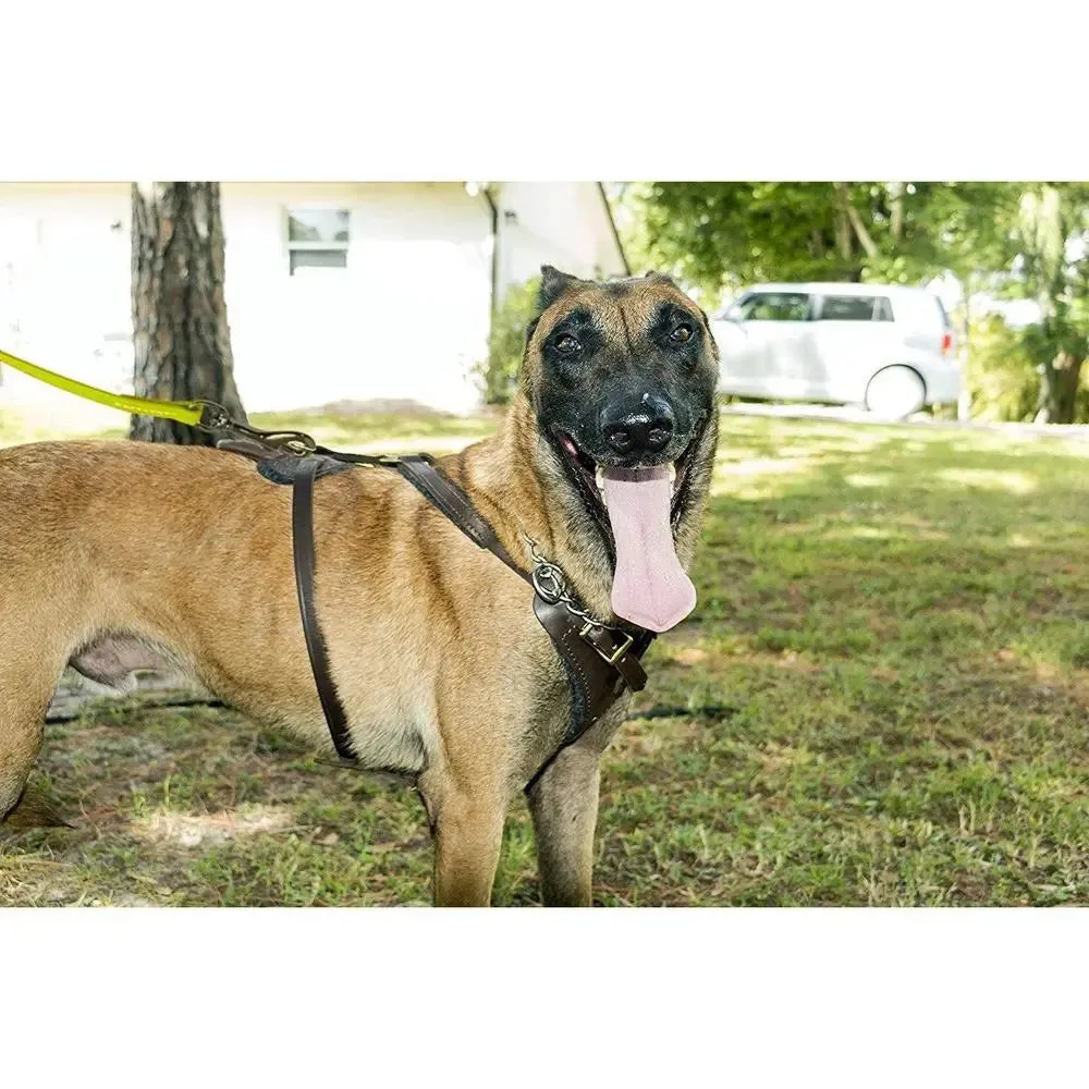 Biothane Long Line Leash