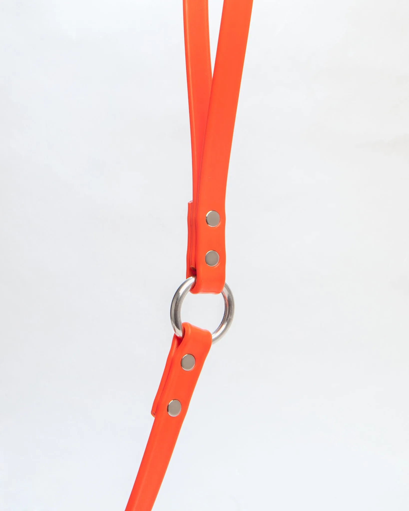 City Leash in Neon Orange