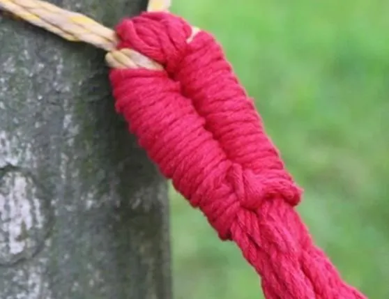 Hammock