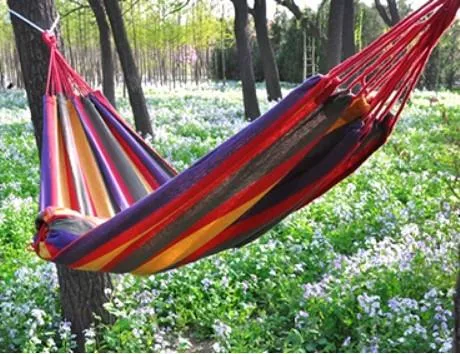 Hammock