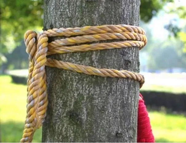 Hammock