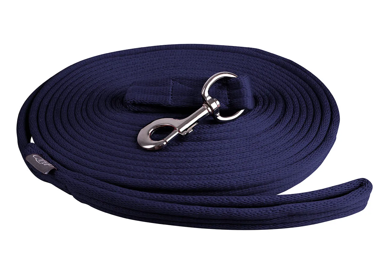 Lunging Line