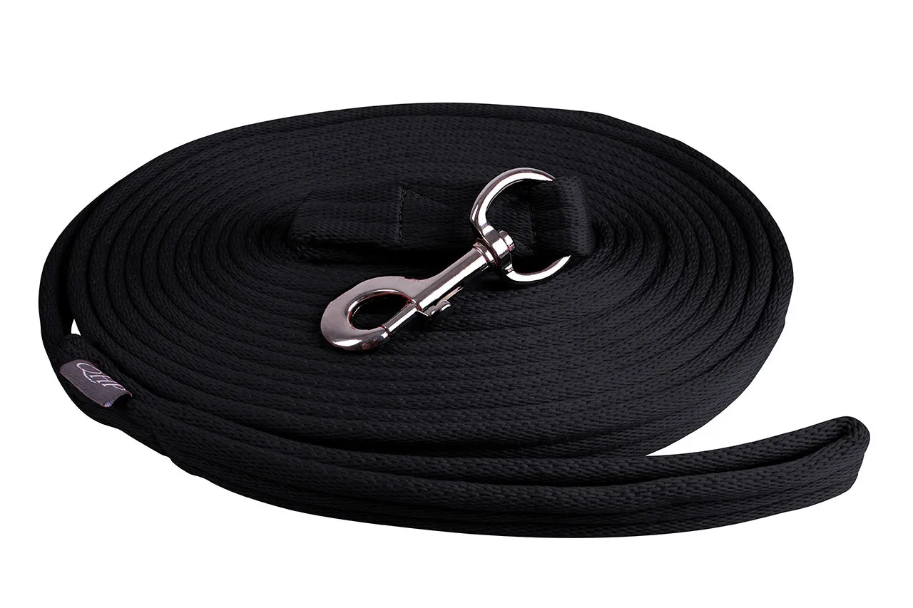 Lunging Line