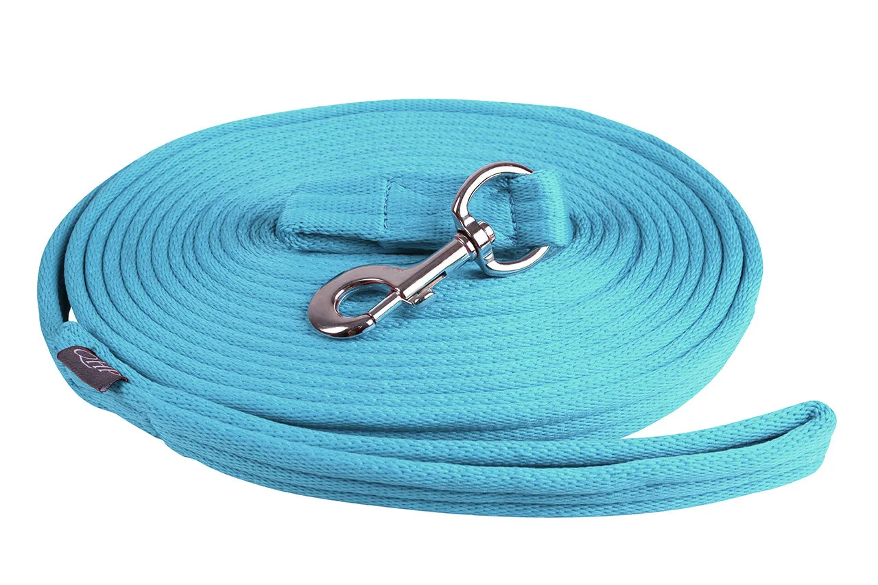 Lunging Line