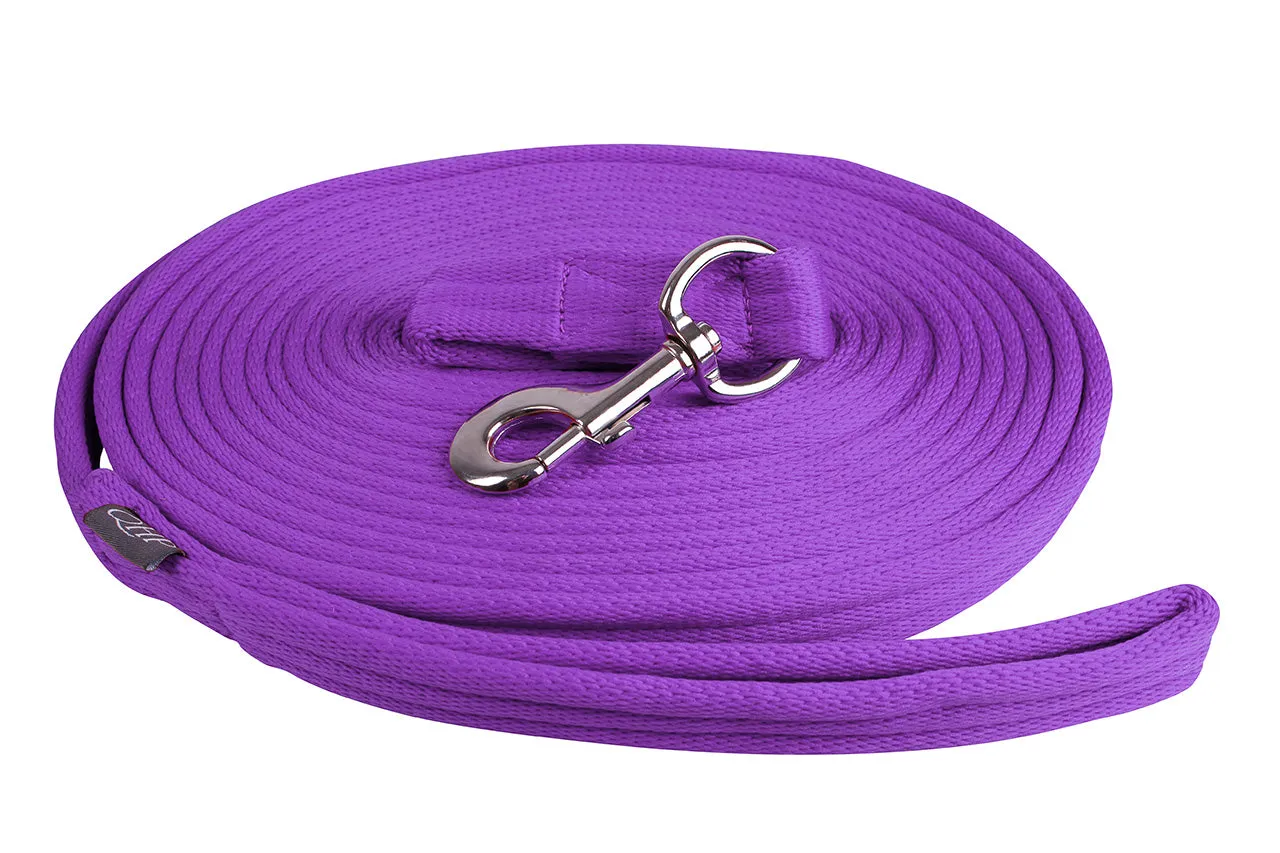 Lunging Line