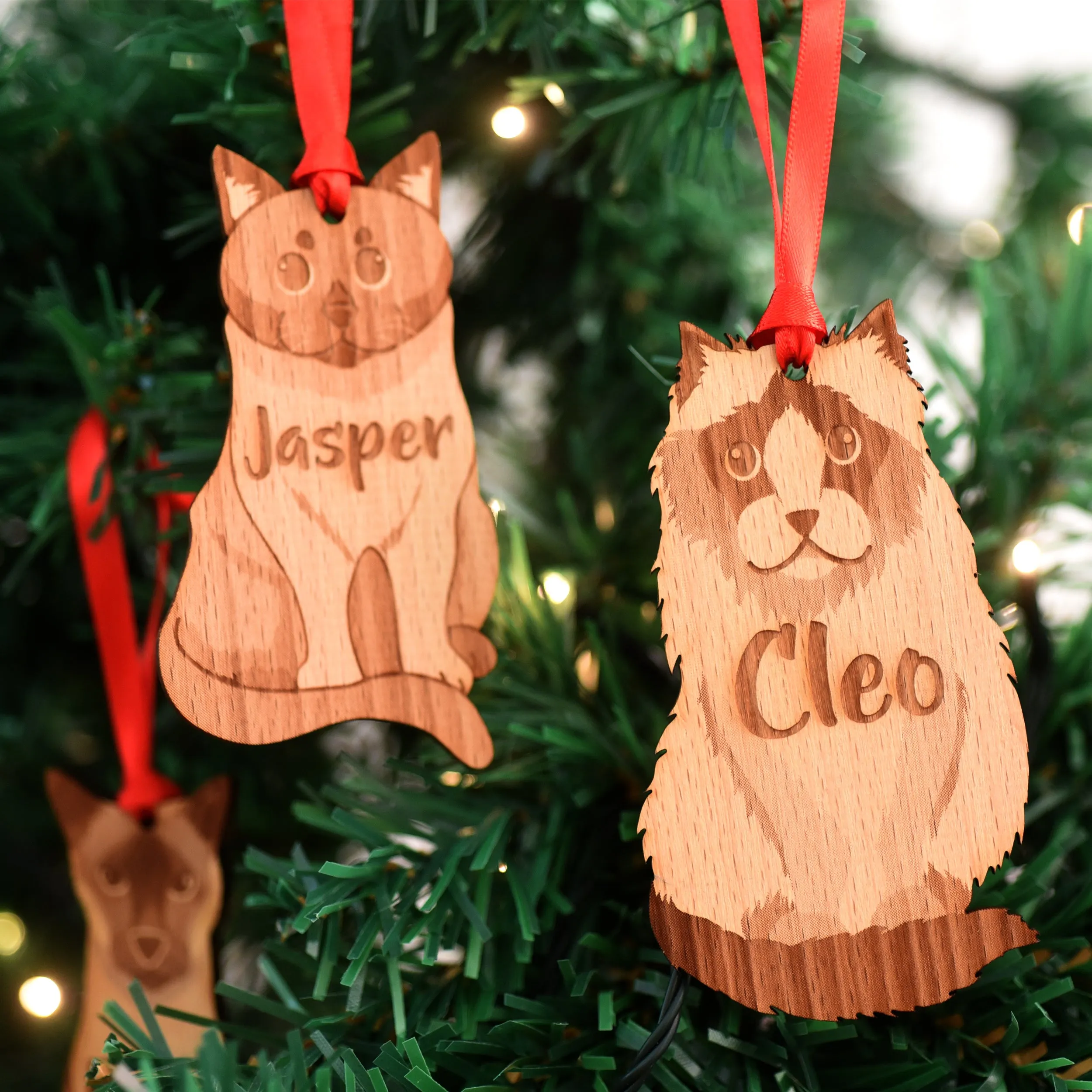 Personalised Cat Breed Wooden Decoration
