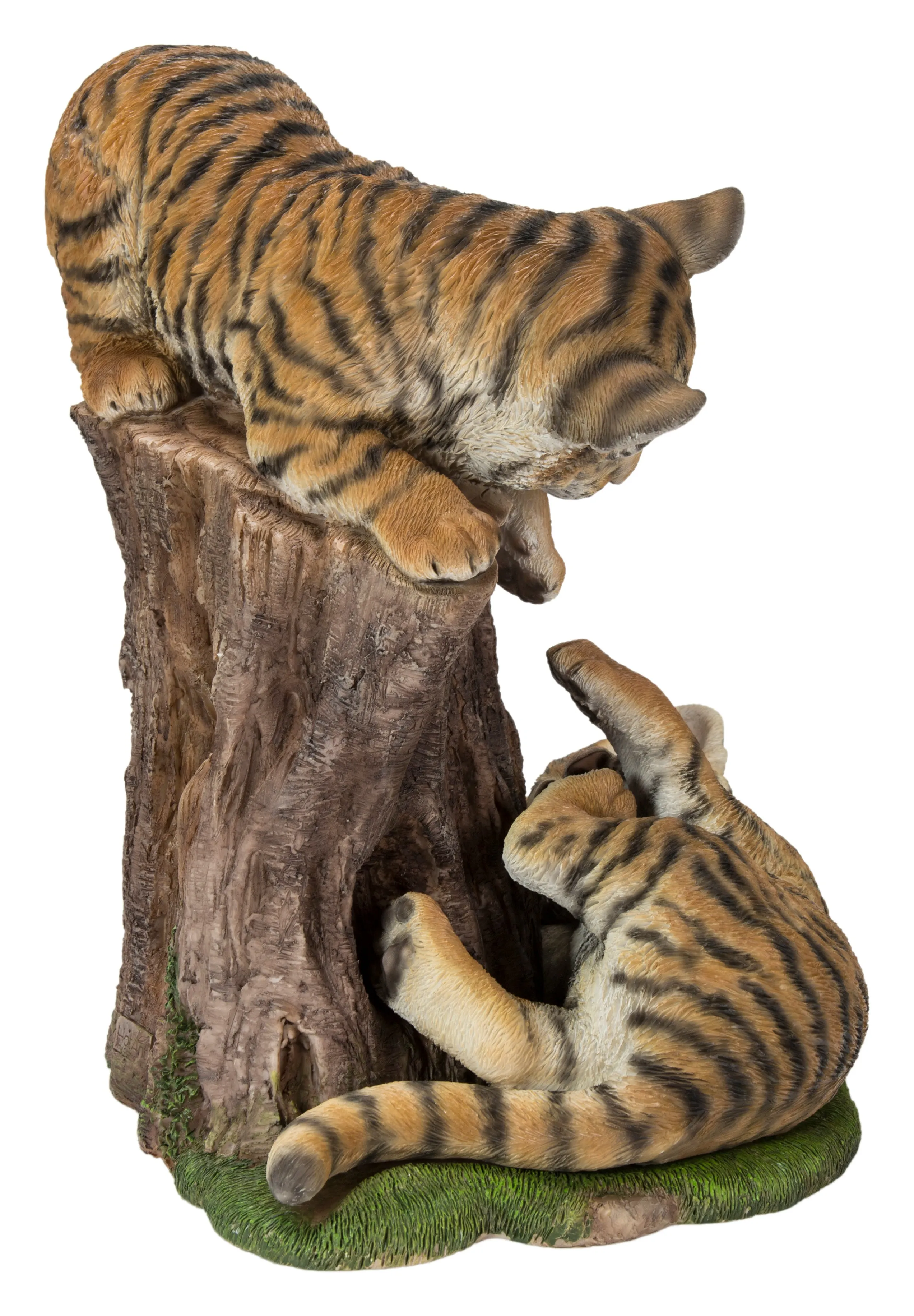 Playful Tiger Cubs