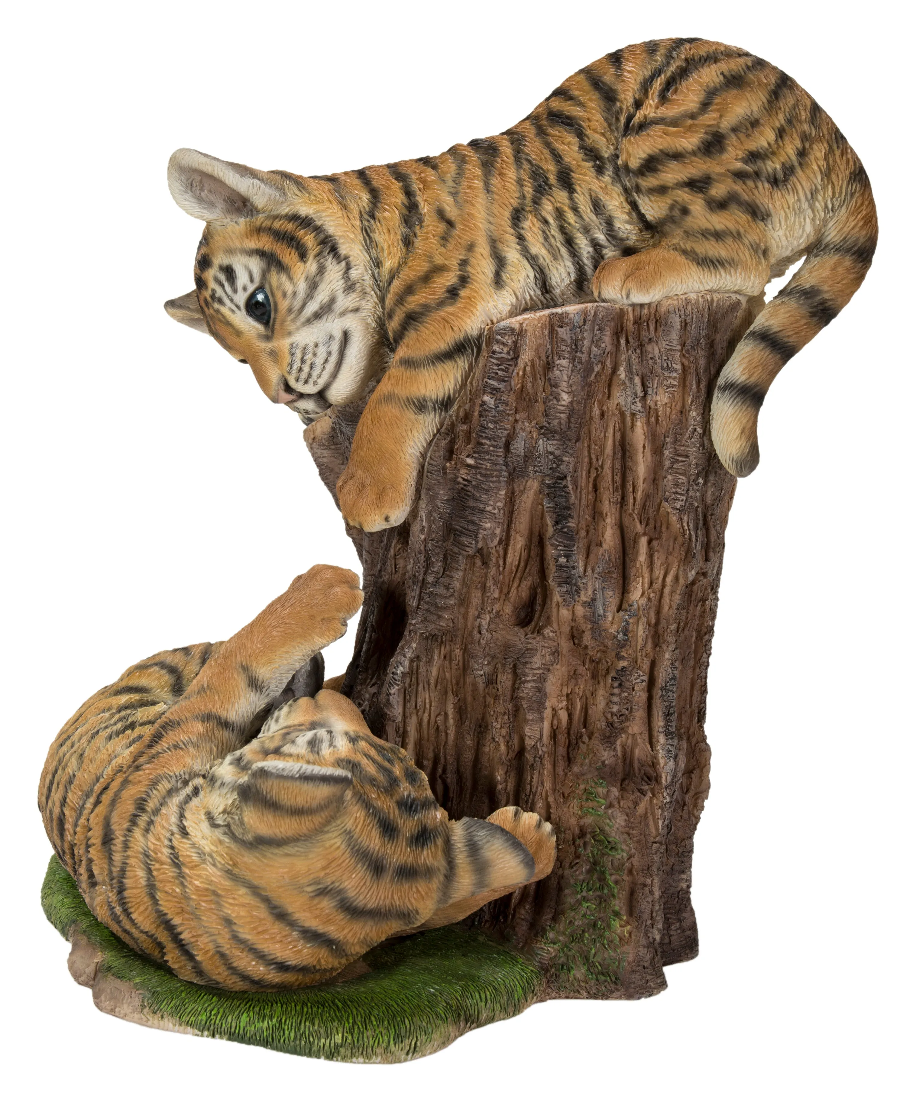 Playful Tiger Cubs