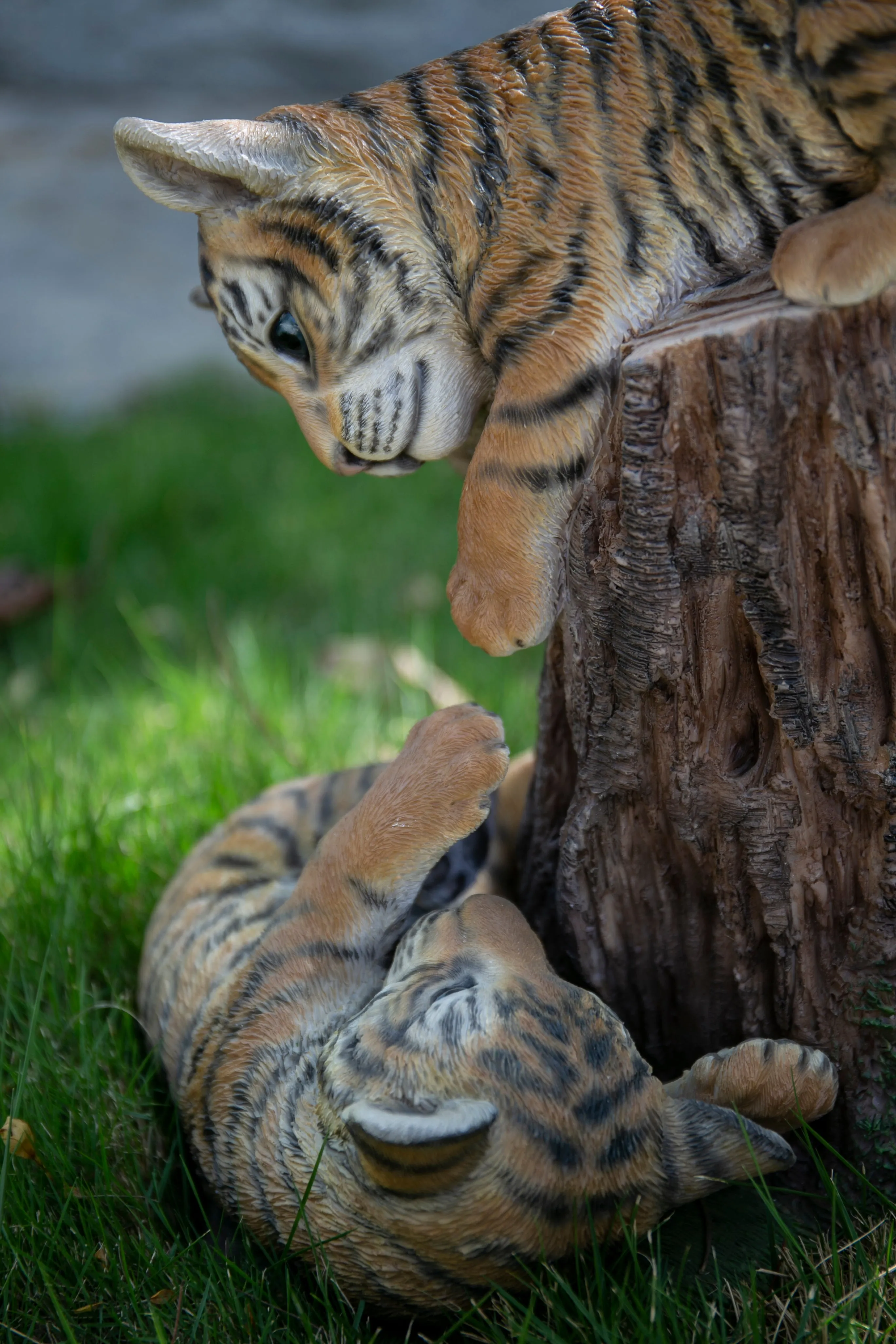 Playful Tiger Cubs
