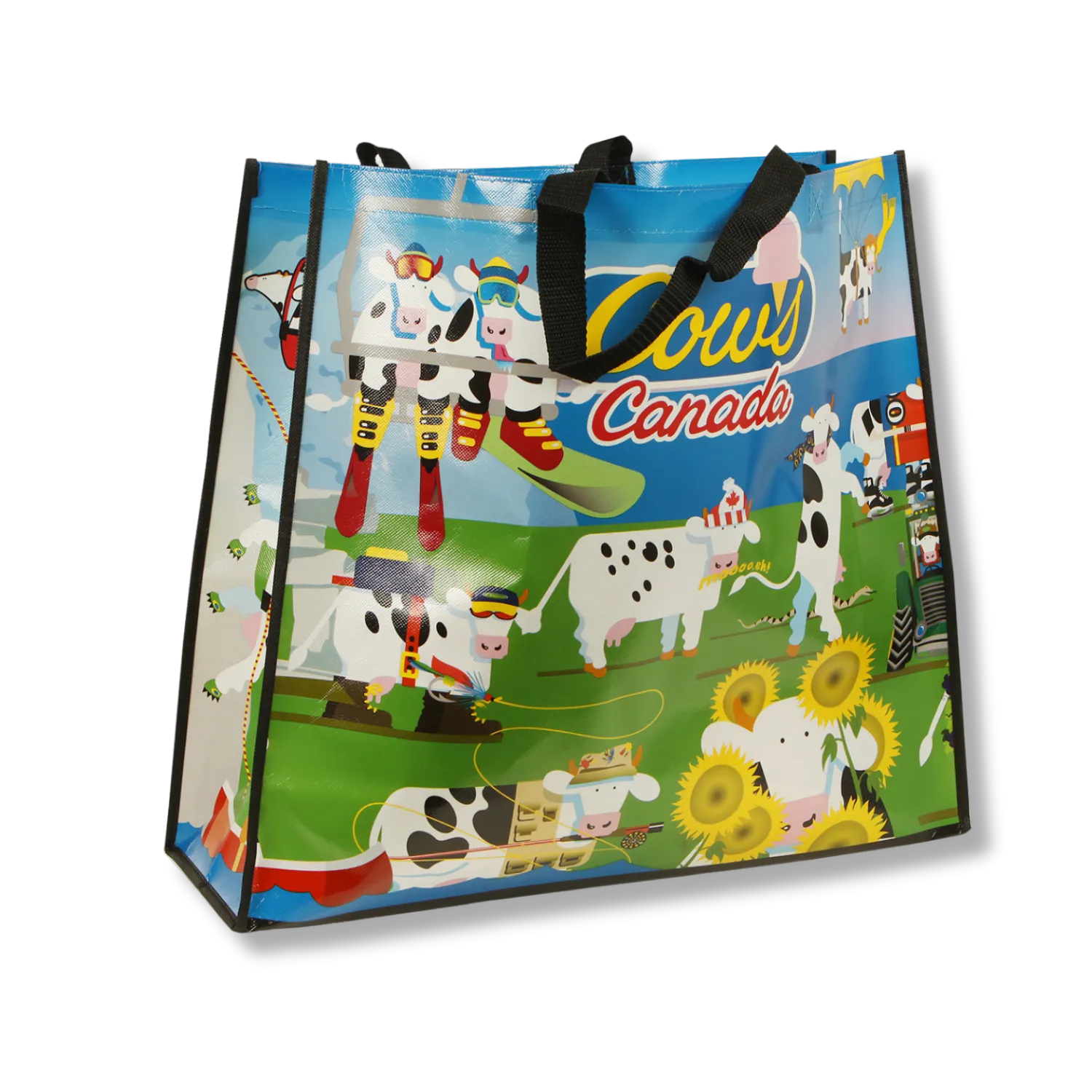 Reusable Bag - Coast