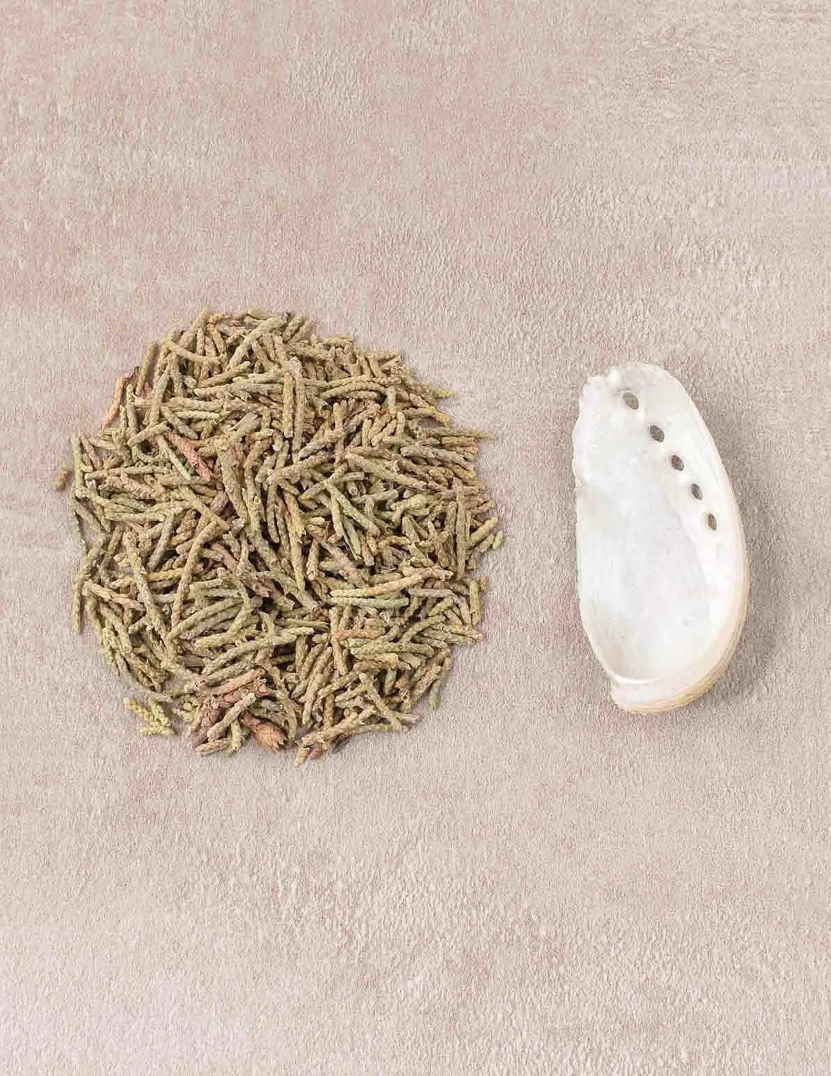 Smudge & Shell Set - Juniper