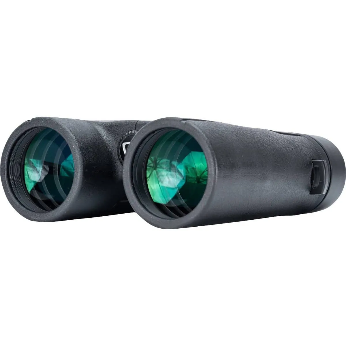 Vanguard Vesta 10x42 Binoculars