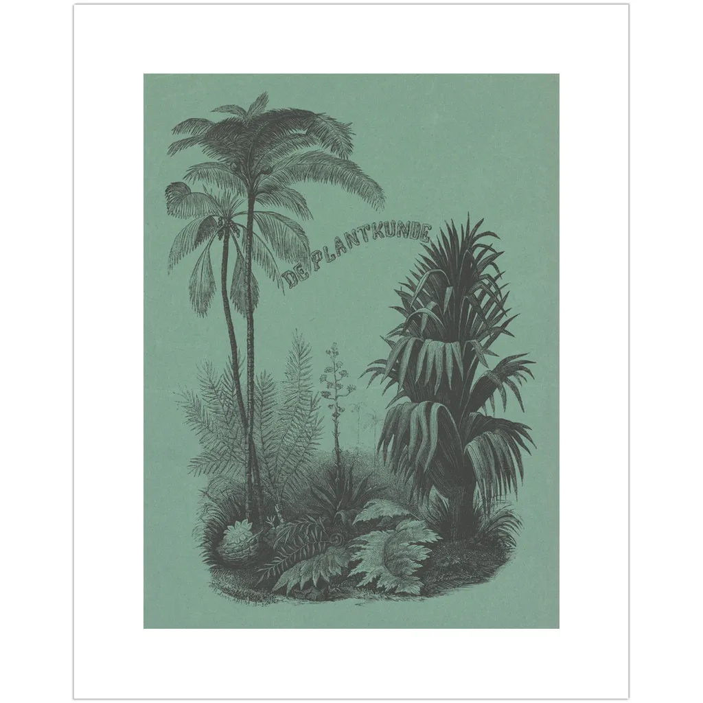 Vintage Plant Art Print