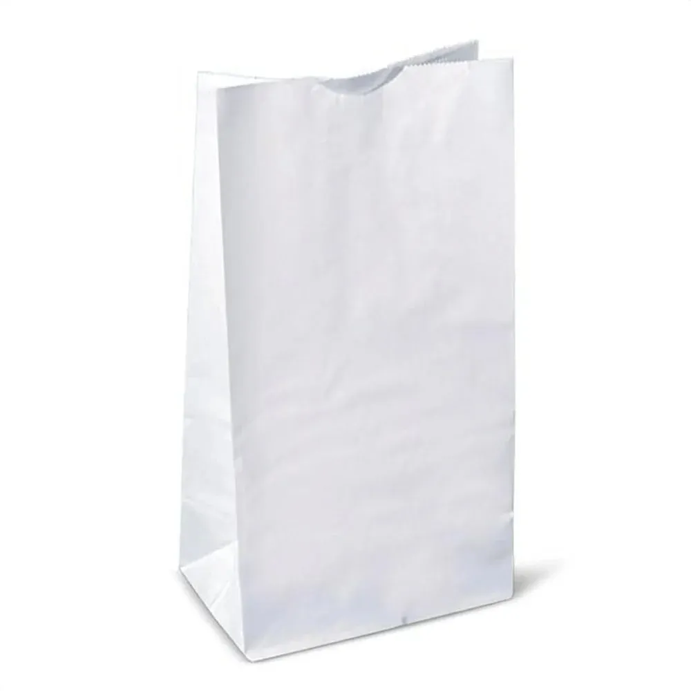 White Paper Bag #20